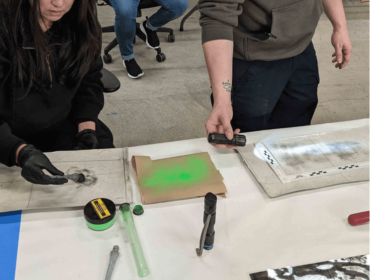 Practical Crime Scene Processing and Investigation